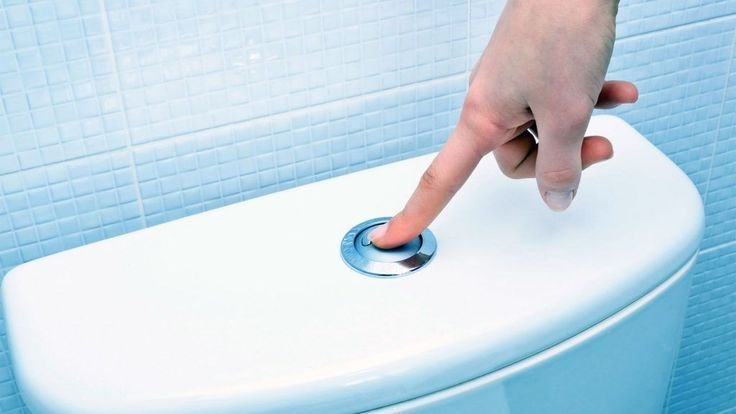 Toilet Flush Repairing (open)